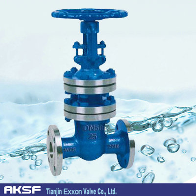 国标波纹管闸阀